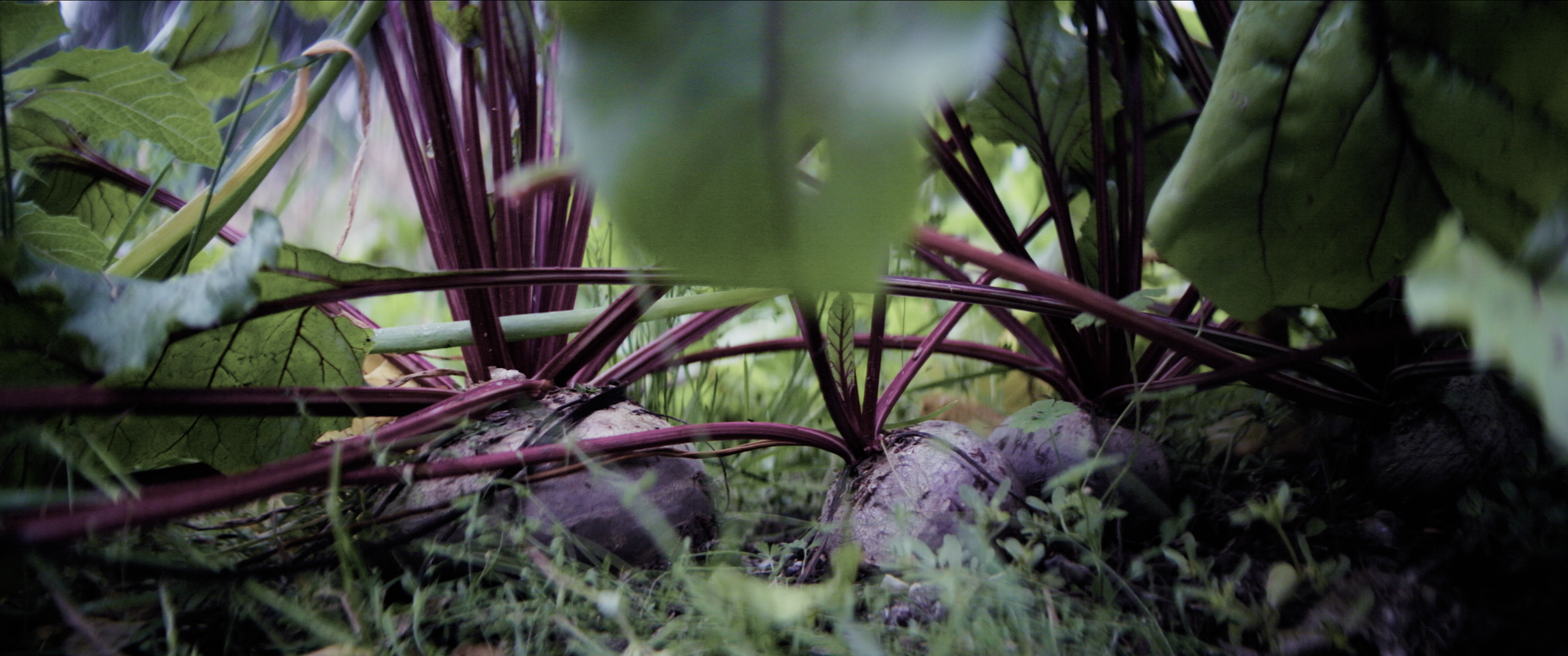 Screenshot 2026-01-07 at 3.52.51 PM.png