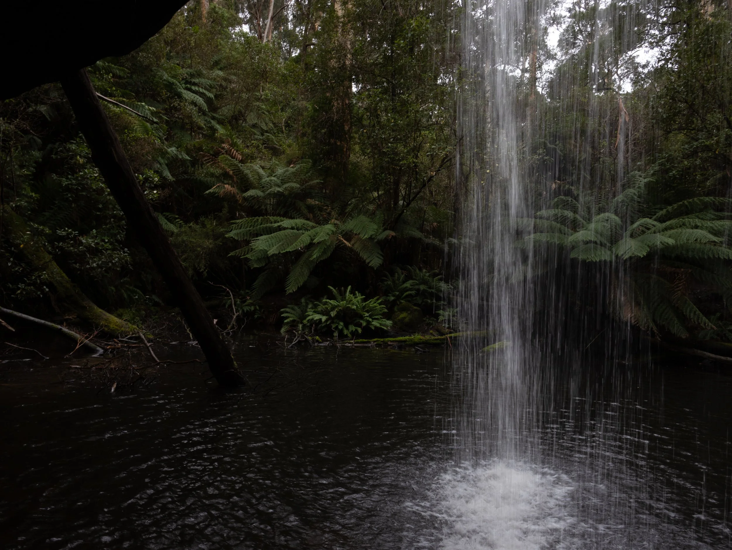 Kalimna Falls, 2024