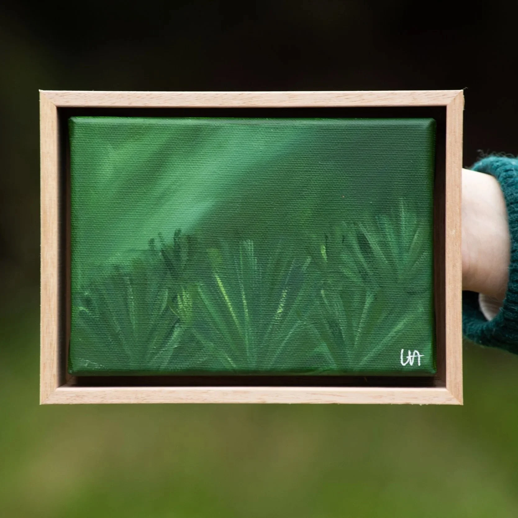 Ferns, 2026