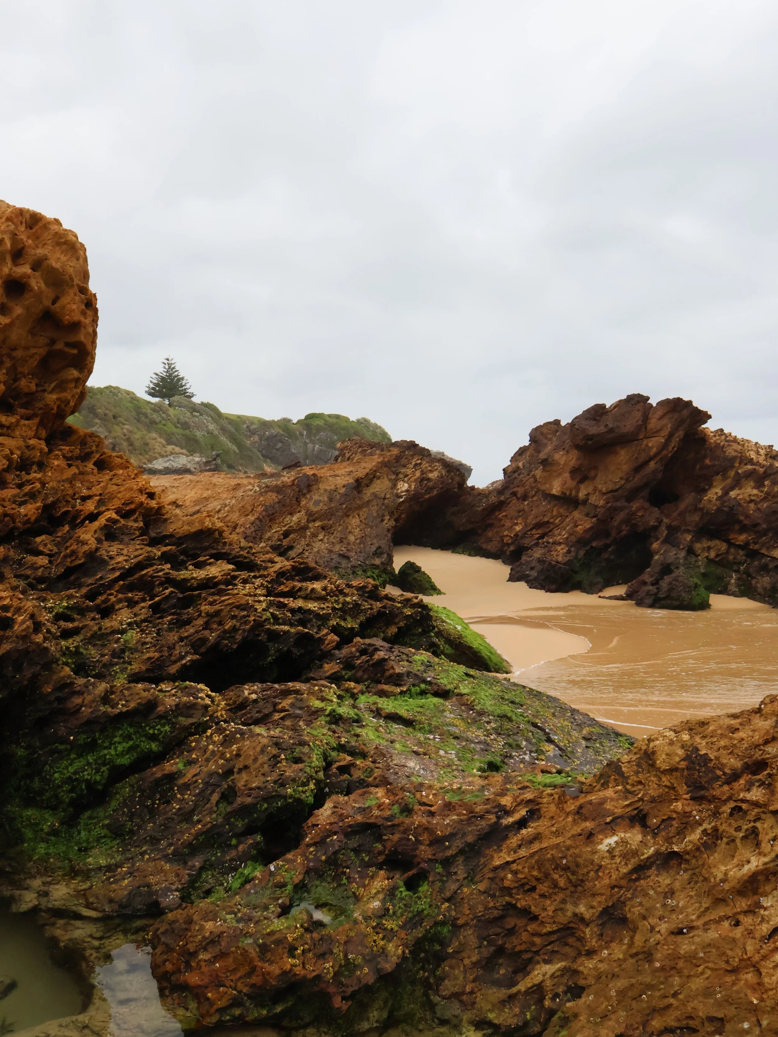 Narooma, 2024