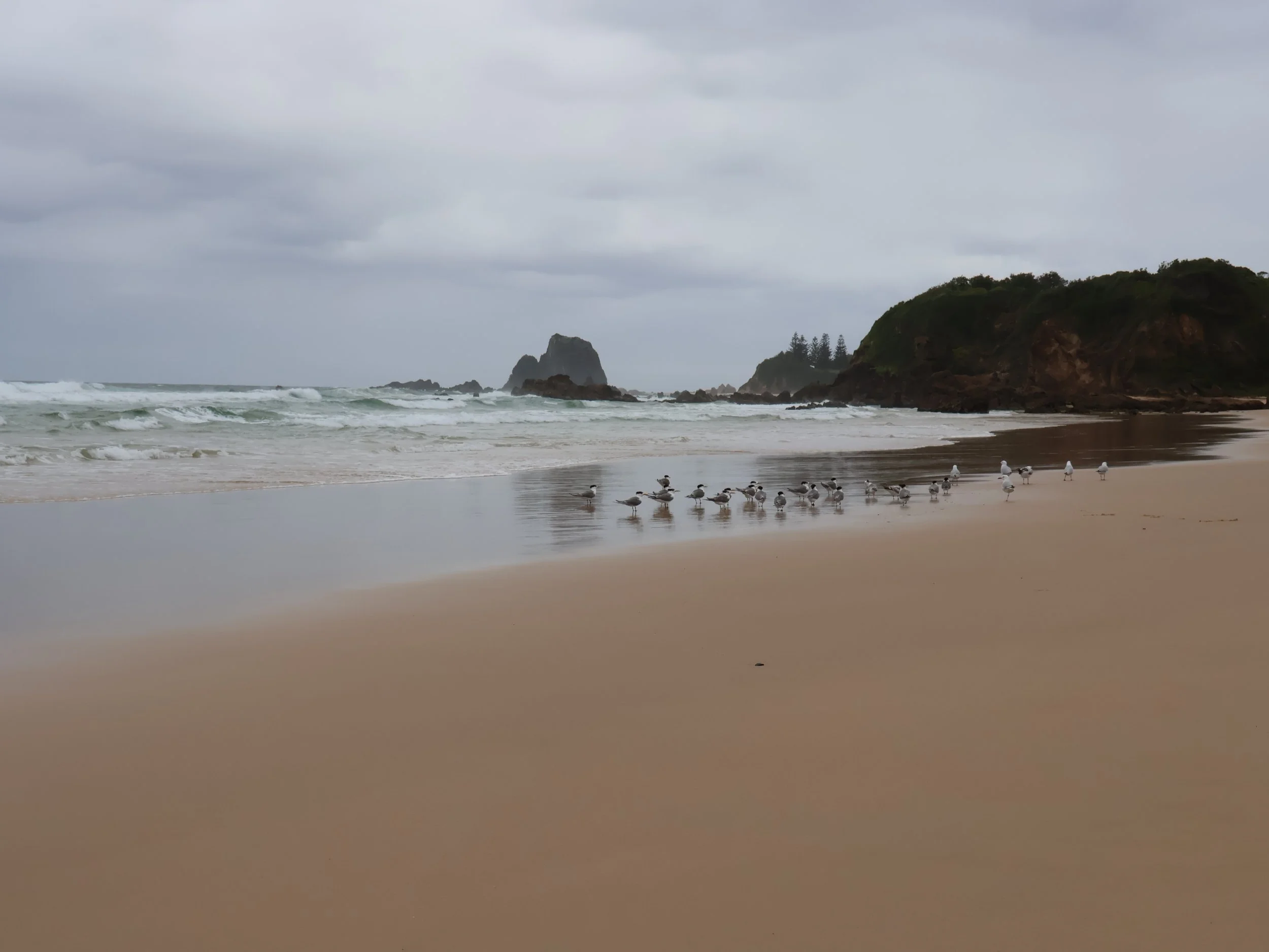 Narooma, 2024