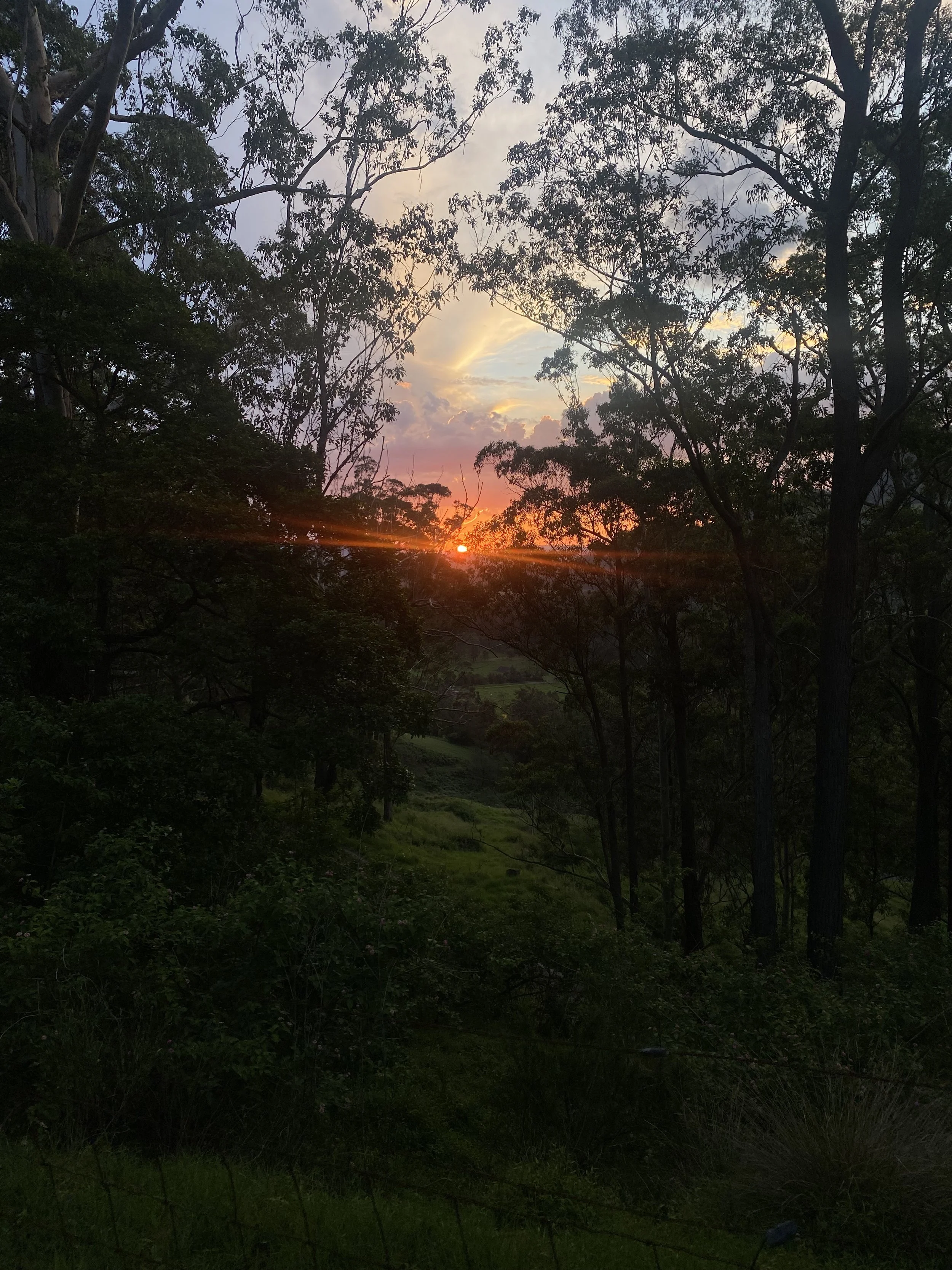 Kangaroo Valley, 2023