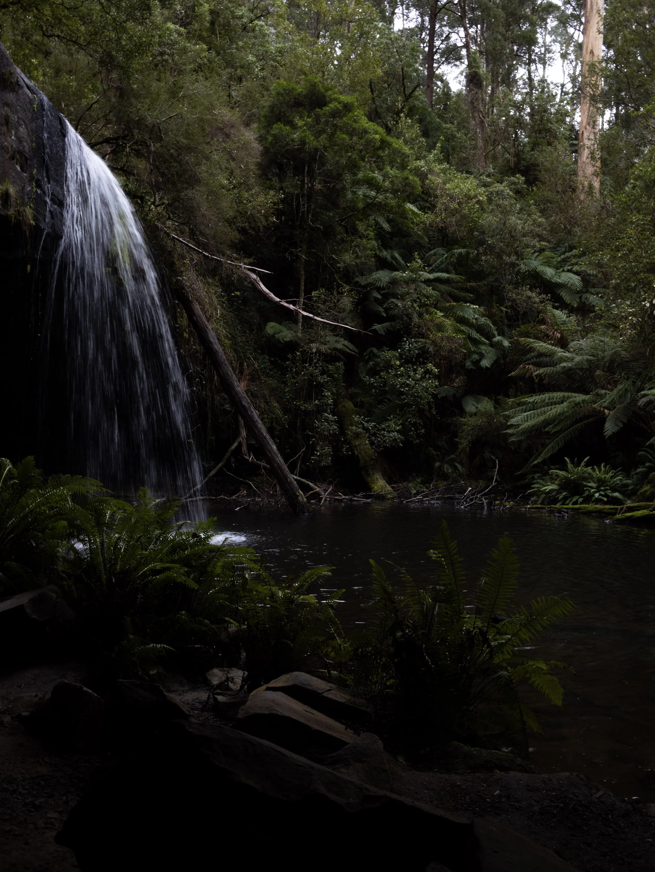 Kalimna Falls, 2024