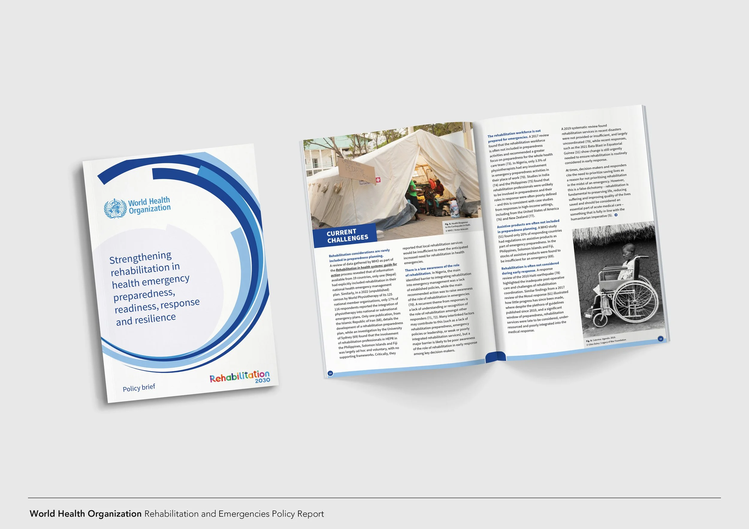 Portfolio sample_print_WHO report.jpg