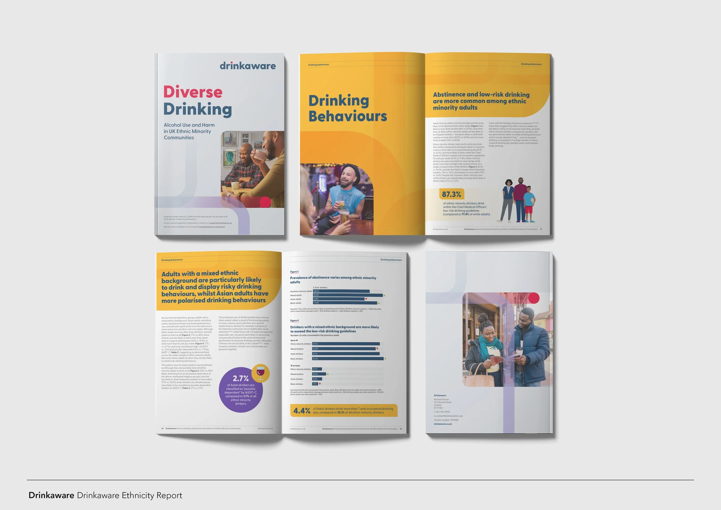 Portfolio sample_print_Drinkaware report.jpg