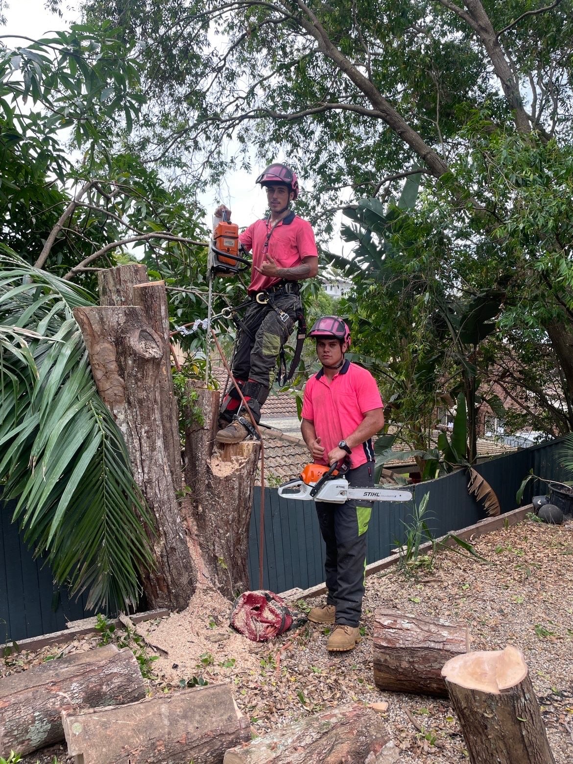 Pink might be the new thing 👀 -0412764946