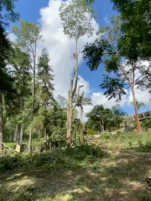 Bitta room on these ones in Nerang 2 day job done with a happy client 
For free quotes -0412764946