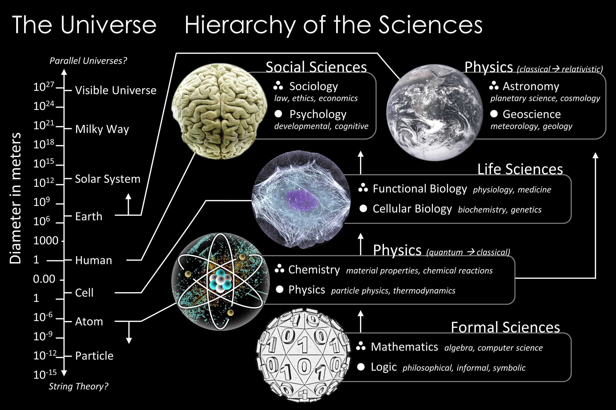 Hierarchy of the Sciences (Copy)