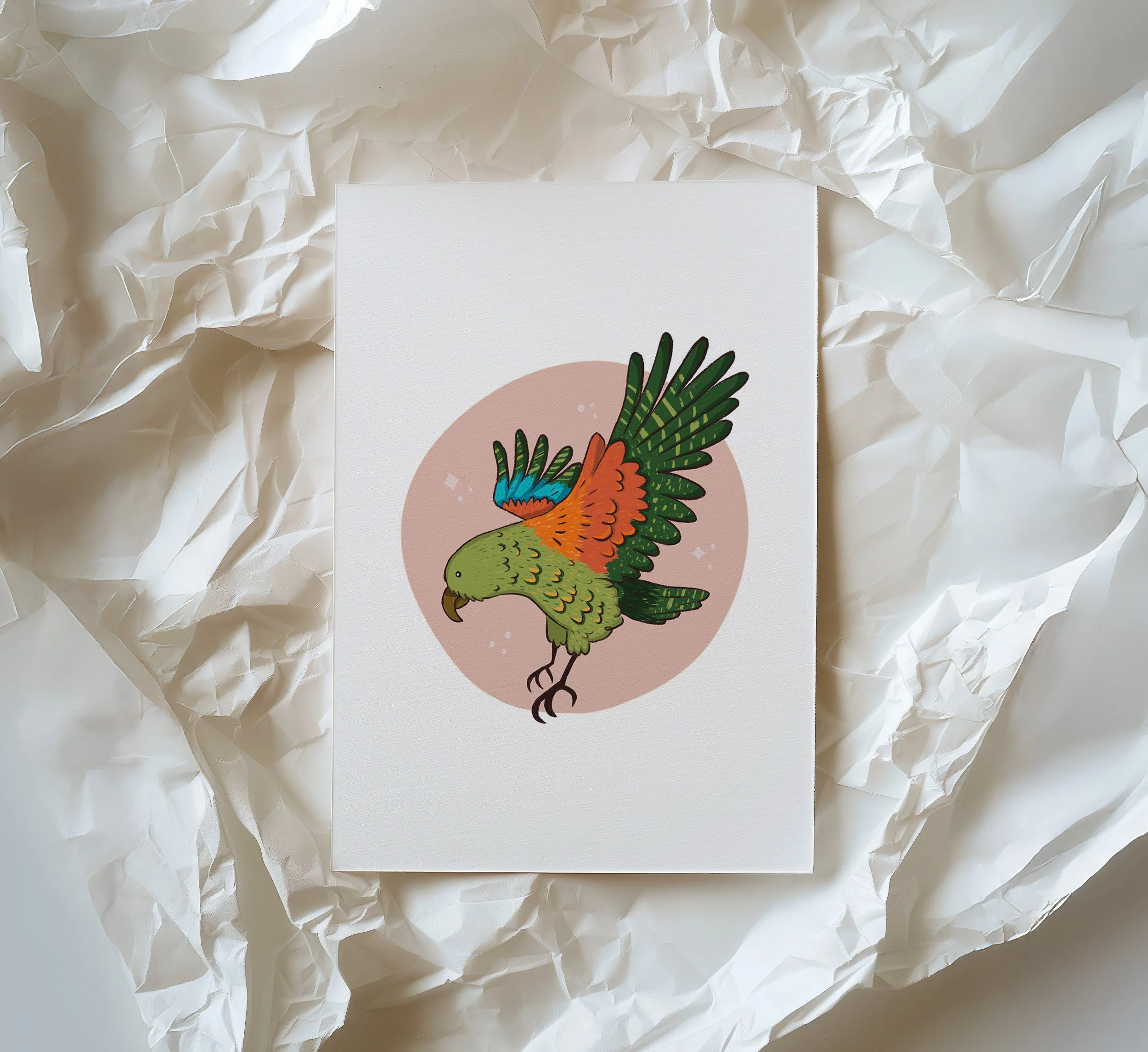 Illustration of a bird with colorful wings, perched and facing downward, with a pink circle background.