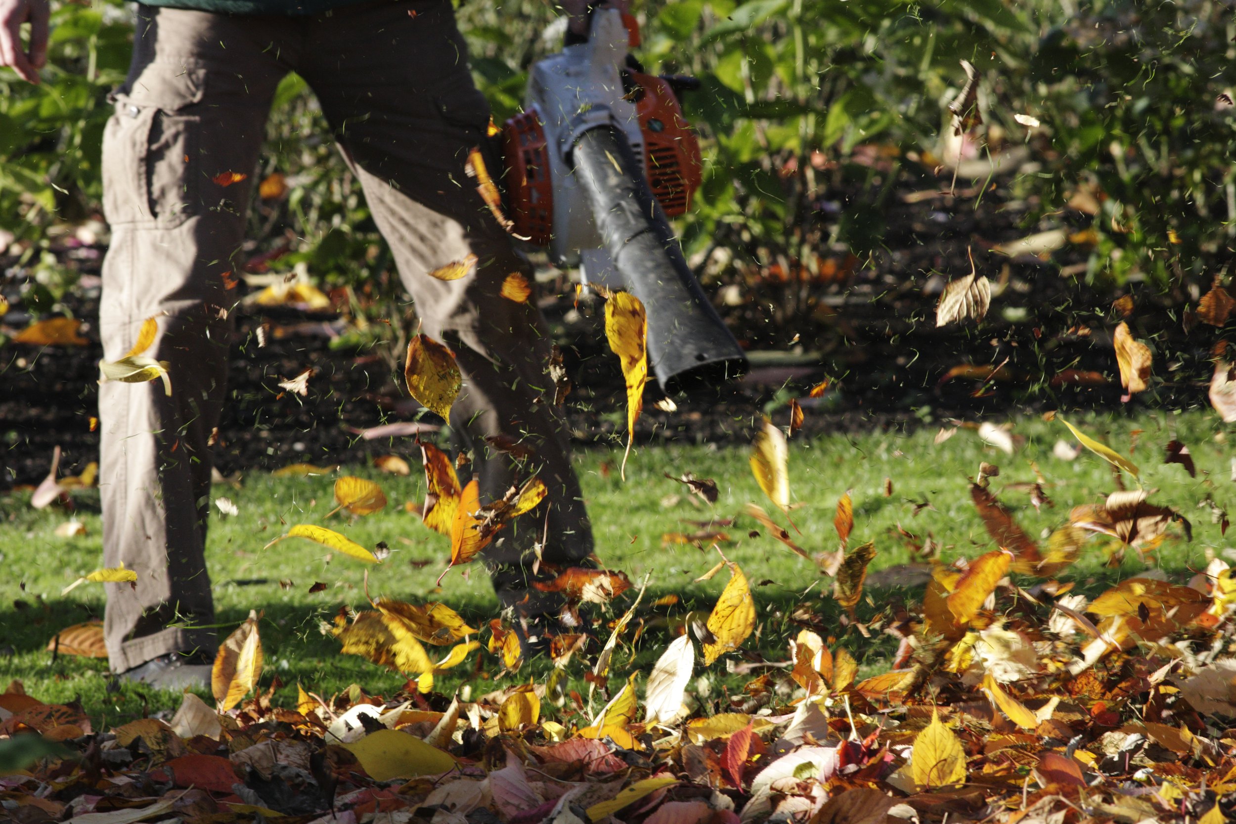 Man with leaf blower