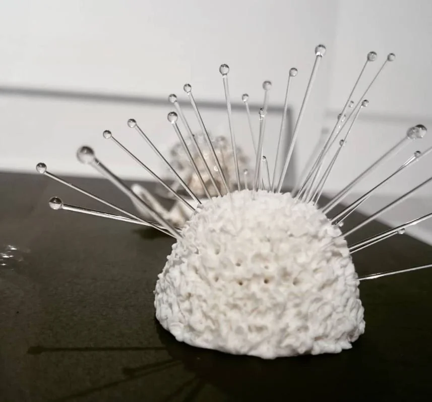'Symbiosis'
