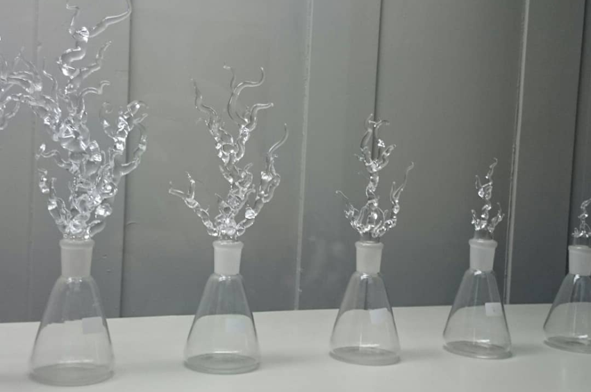 A series of tree like glass pieces in glass flasks of various sizes