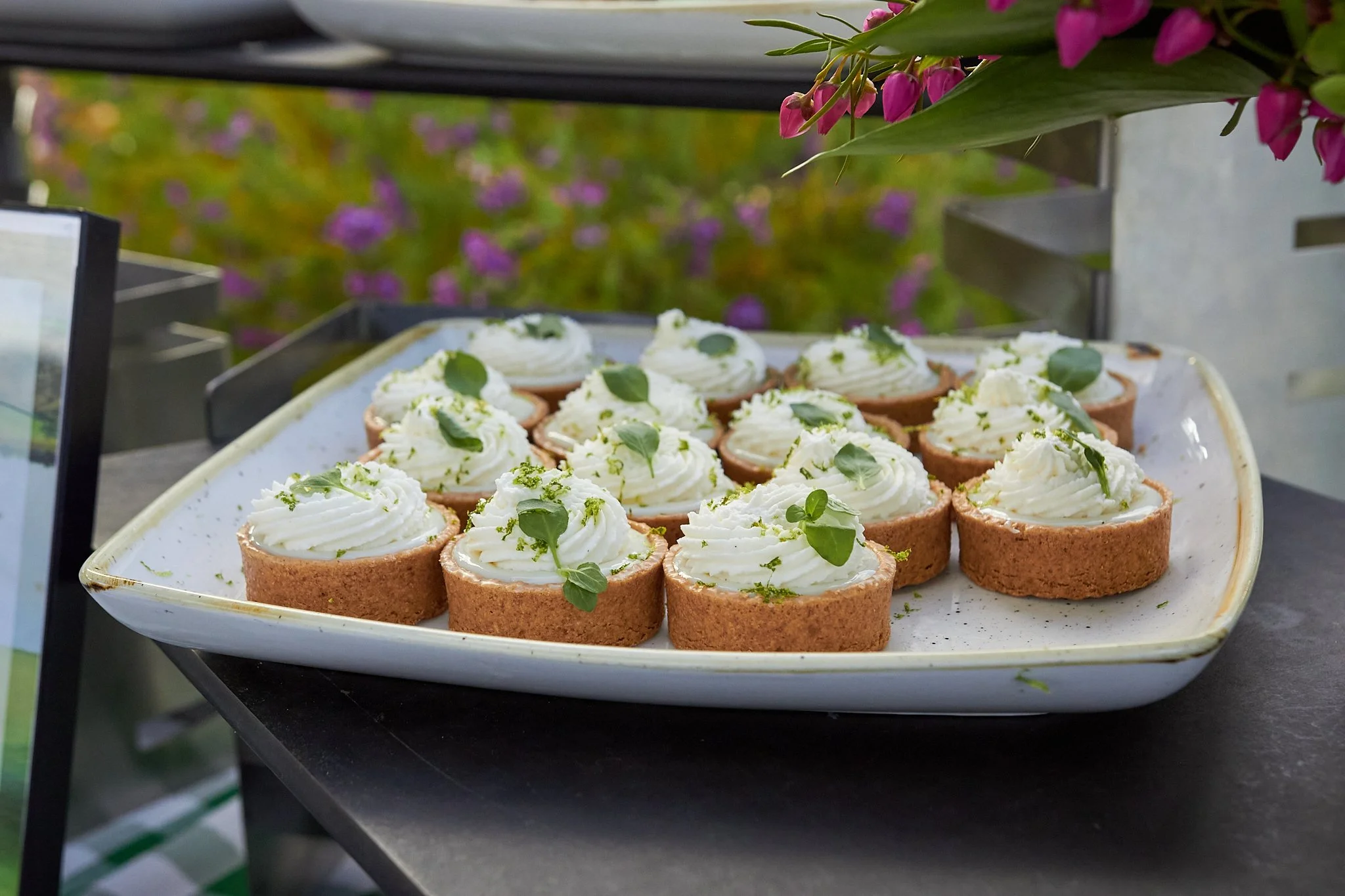 SantaluzEdit2 25.jpg