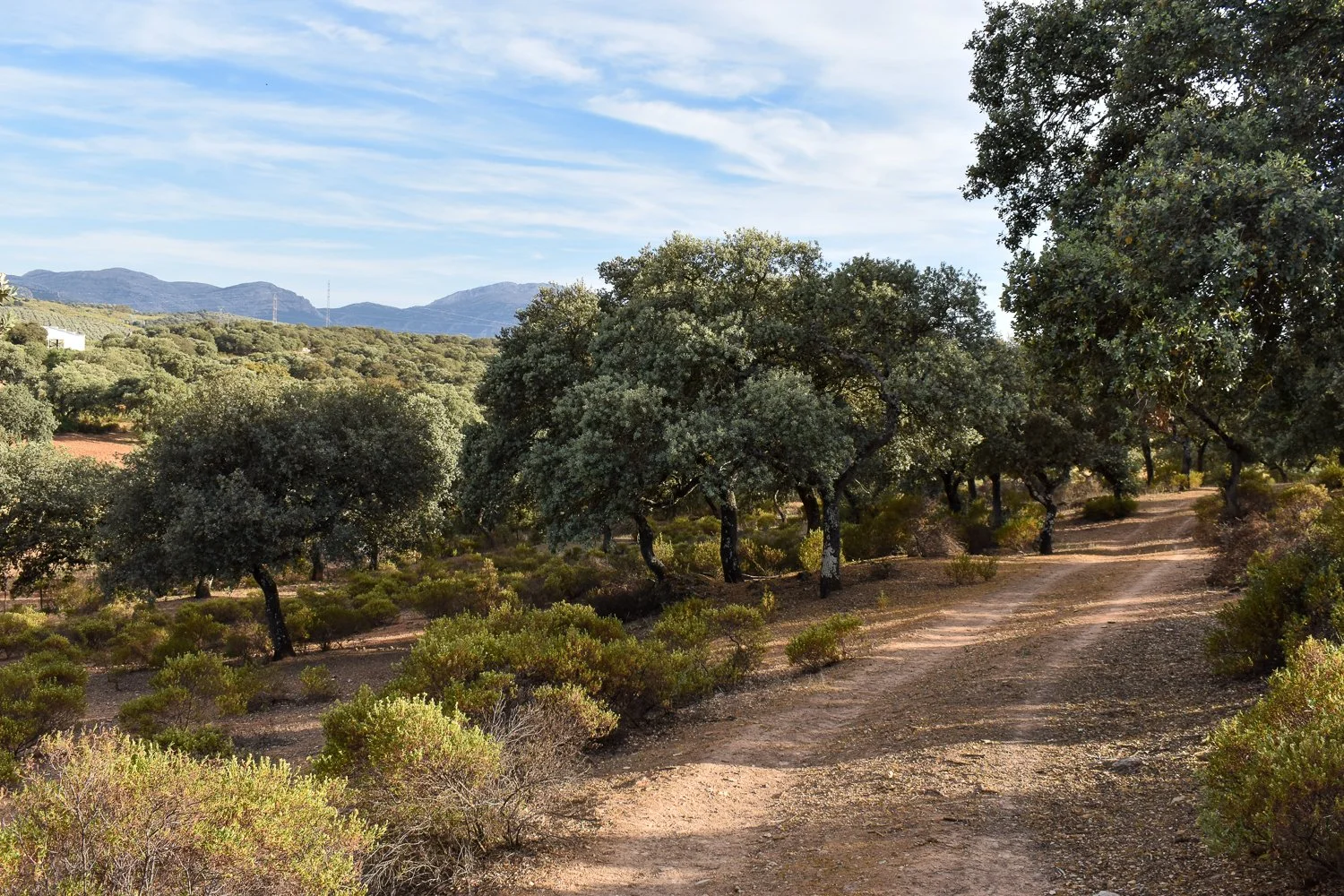 Finca La Lola-77.jpg