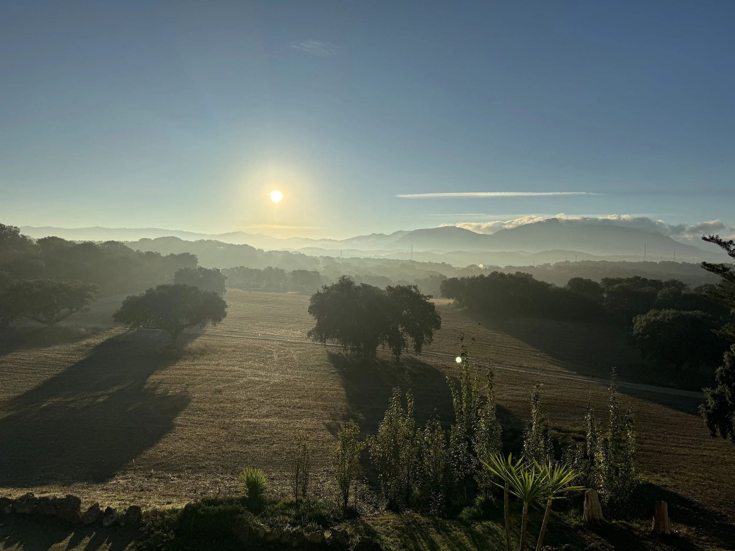 Sunrise over rolling hills with trees and distant mountains in a rural landscape.