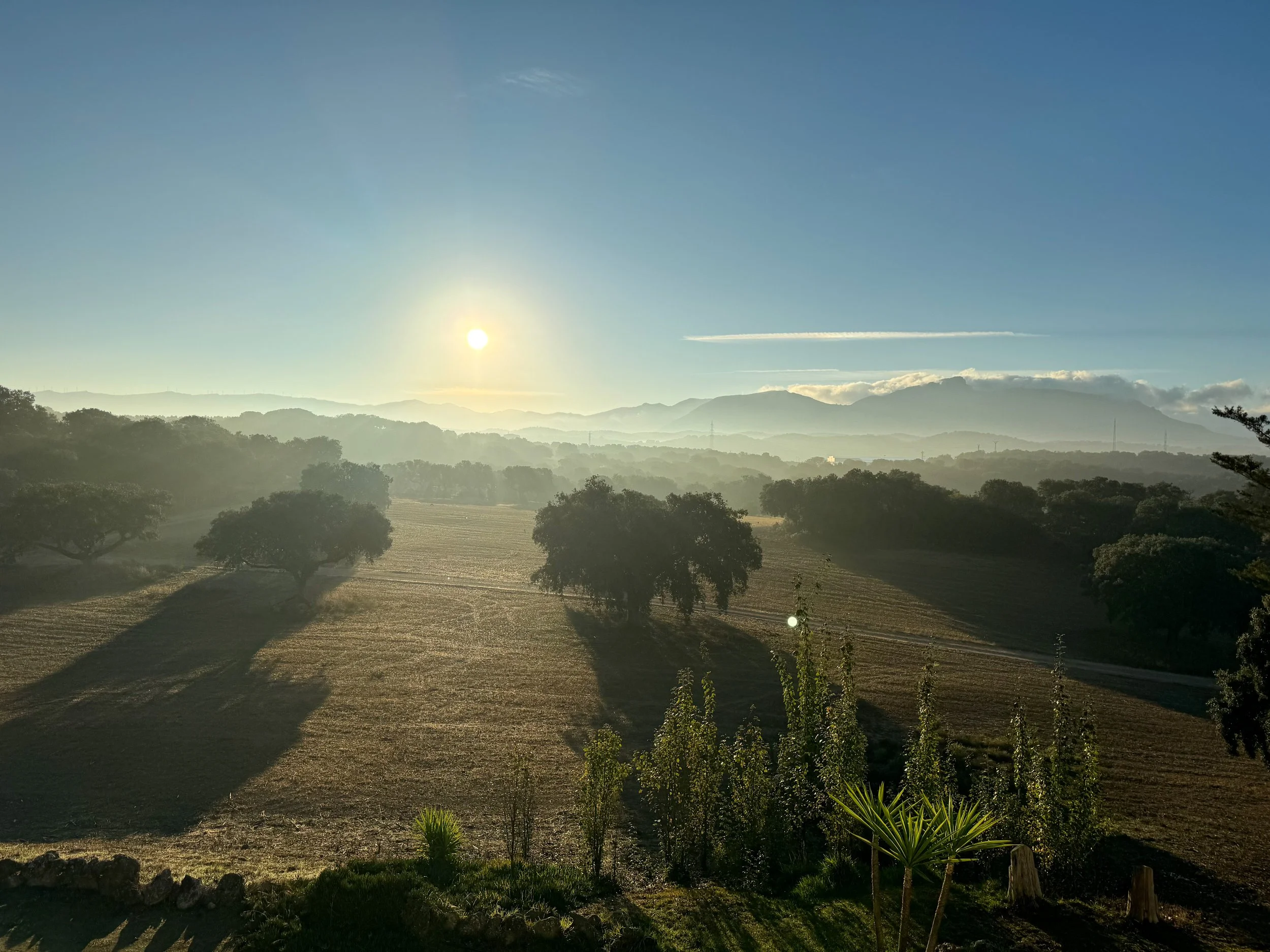 Sunlit rural landscape with rolling hills, trees, and mountains in the distance, under a clear sky.