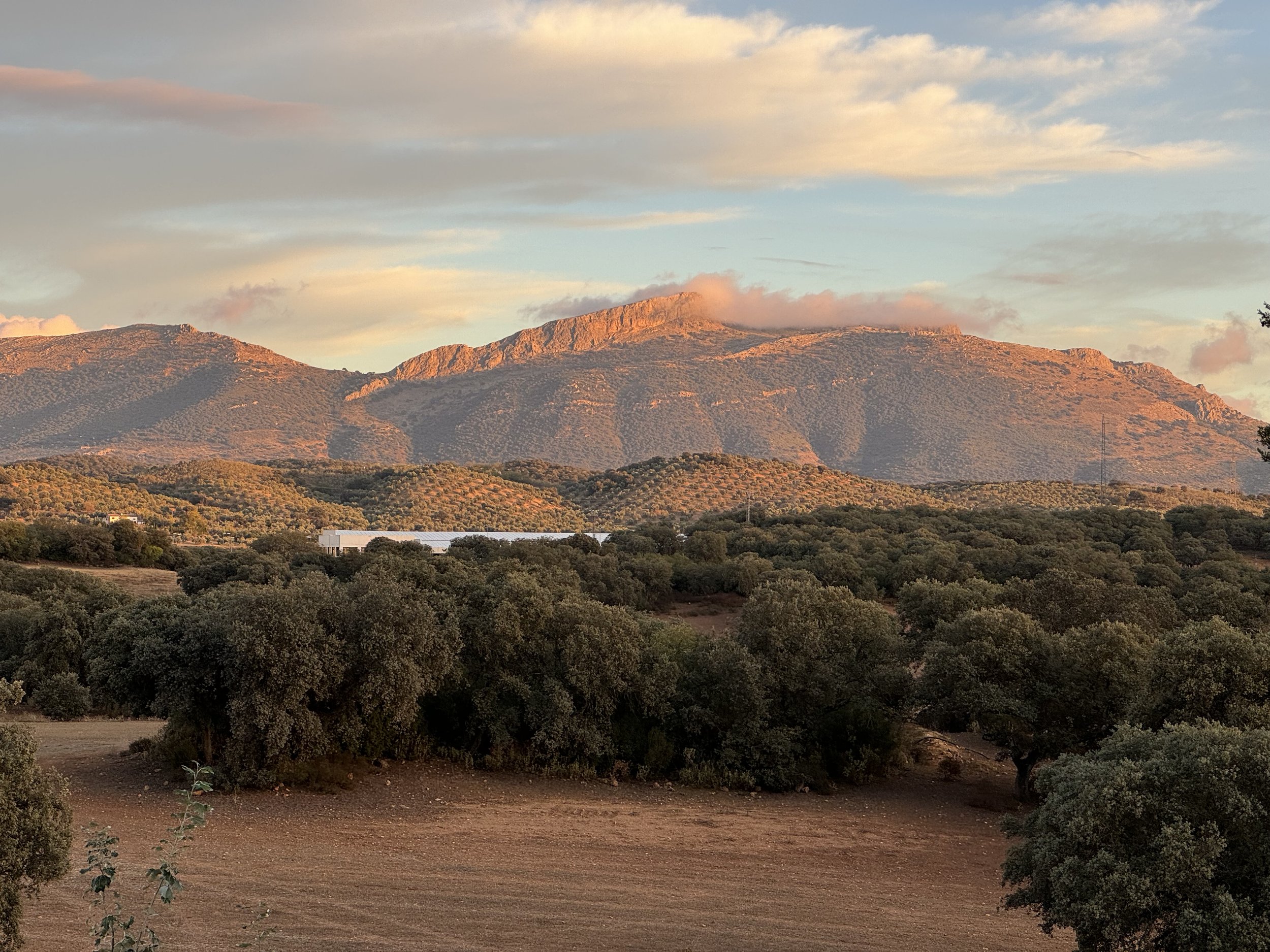 A scenic landscape of rolling hills and mountains at sunset, with trees in the foreground and a partly cloudy sky.