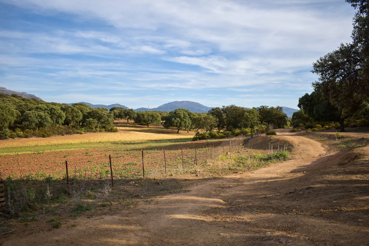 Finca La Lola-78.jpg