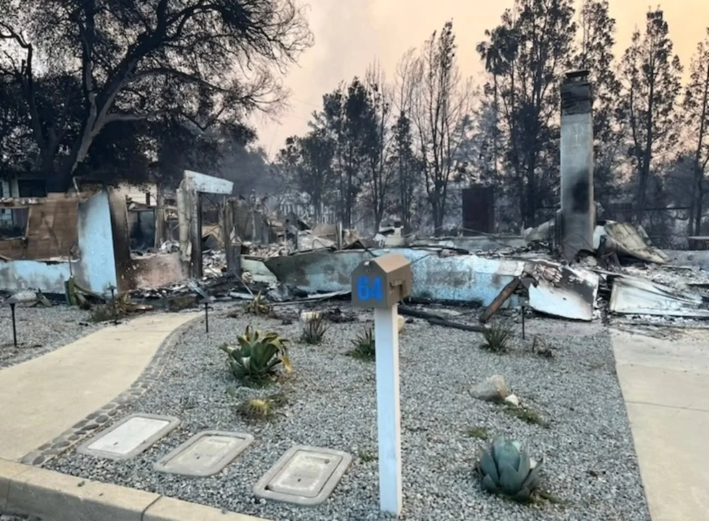 Your landscaping doesn't need to contain elements that could contribute to a fire. While this client got as unlucky as many others in Altadena and around Los Angeles during this devastating time, one thing stood the test of over 1,000 degrees Fahrenh