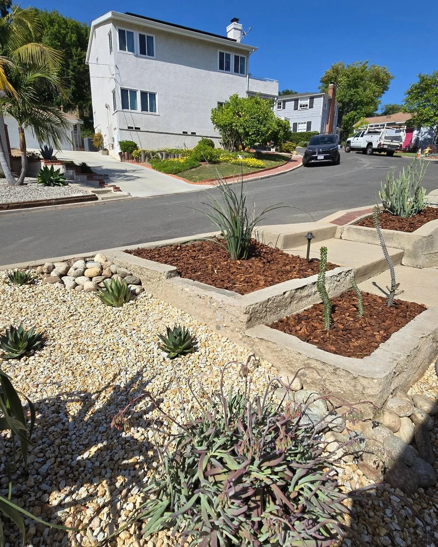 Afters ➡️ befores
Simple, clean, low-maintenance, low water, low headache.

#savewater #droughtscape

#gravel #outdoorliving #droughttolerant #droughttolerantlandscape #xeriscape #softscape #landscapedesign #landscapedesigner #landscapearchitect #lan