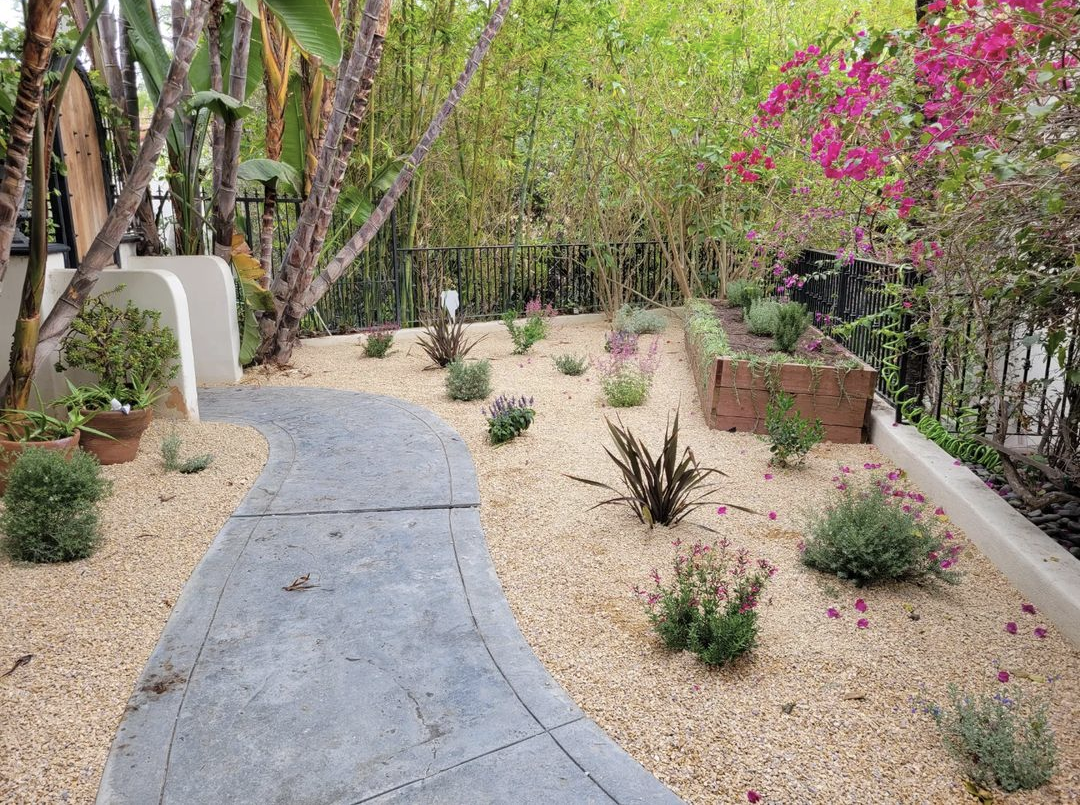 drought tolerant landscape in Los Angeles with gold gravel