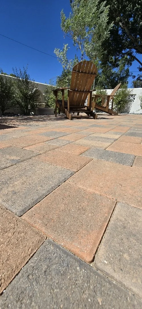 drought tolerant landscape in Los Angeles with interlocking pavers
