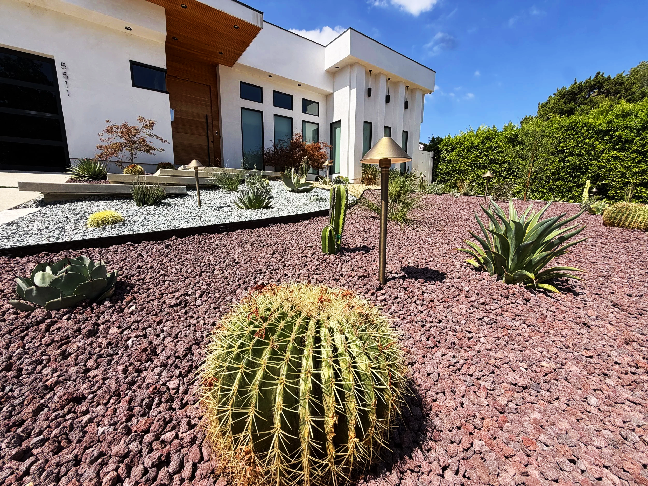 drought tolerant landscape design in Los Angeles with cactus and lights