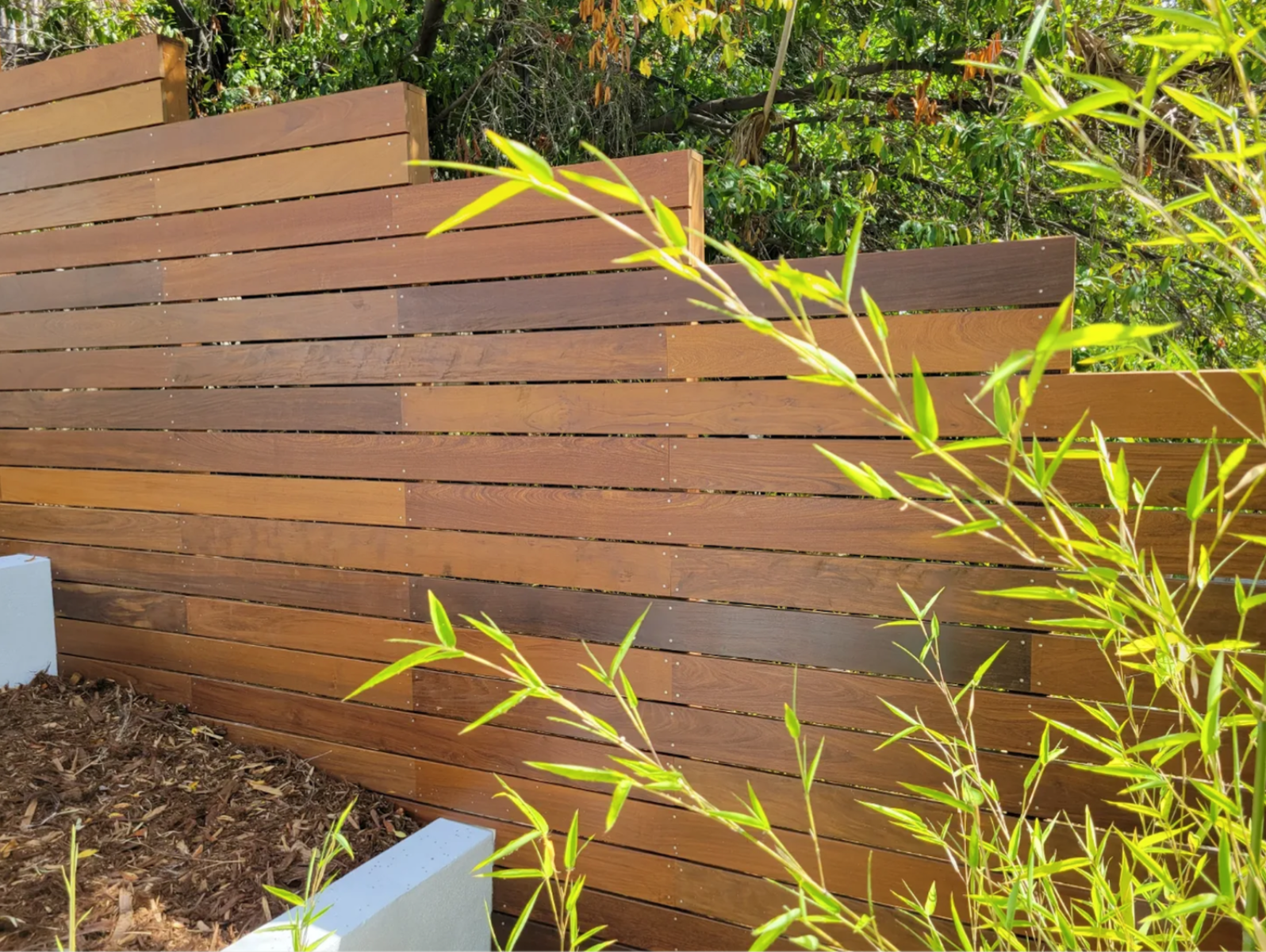 drought tolerant landscape in Los Angeles with ipe fence