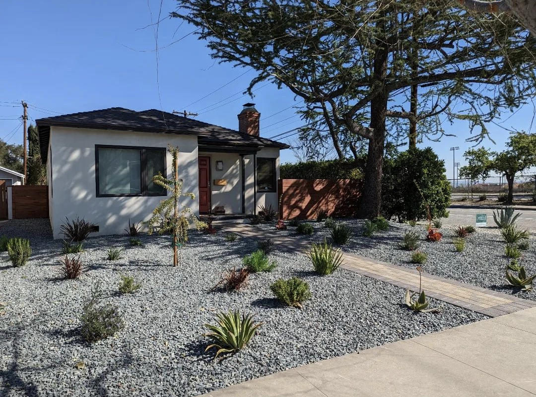 drought tolerant landscape in Los Angeles with gray gravel