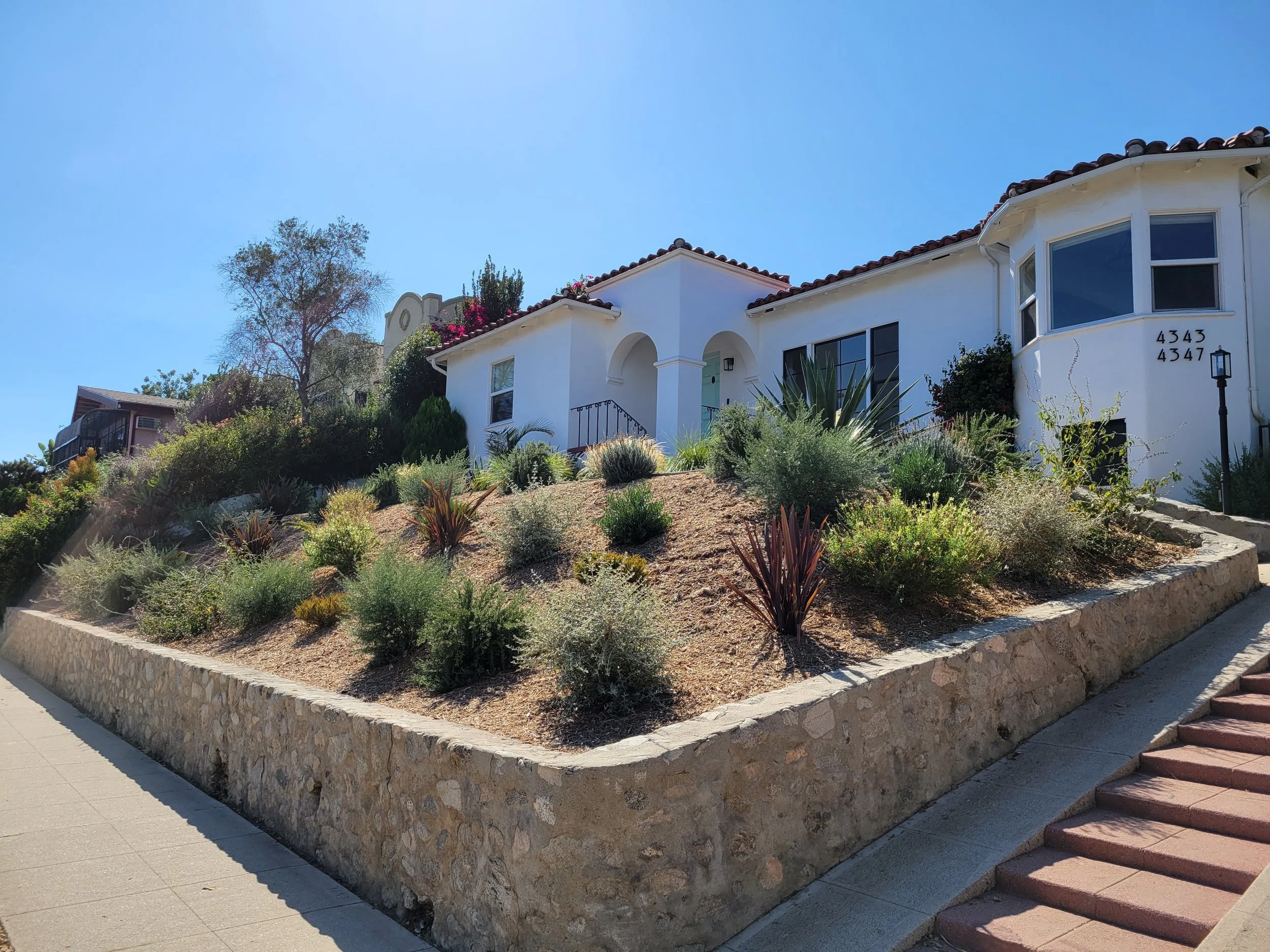 drought tolerant landscape in Los Angeles with mulch and plants