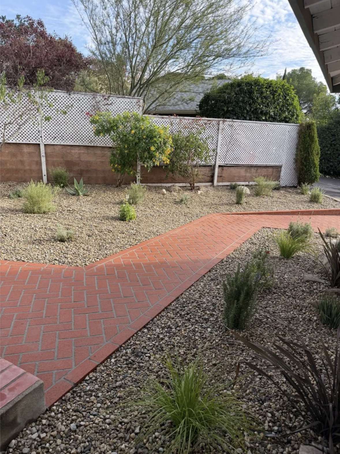 drought tolerant landscape in Los Angeles with bricks and xeriscape