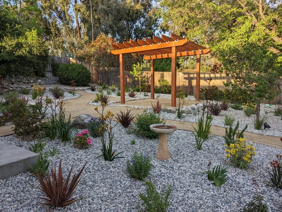 drought tolerant landscape in Los Angeles with pergola and xeriscape