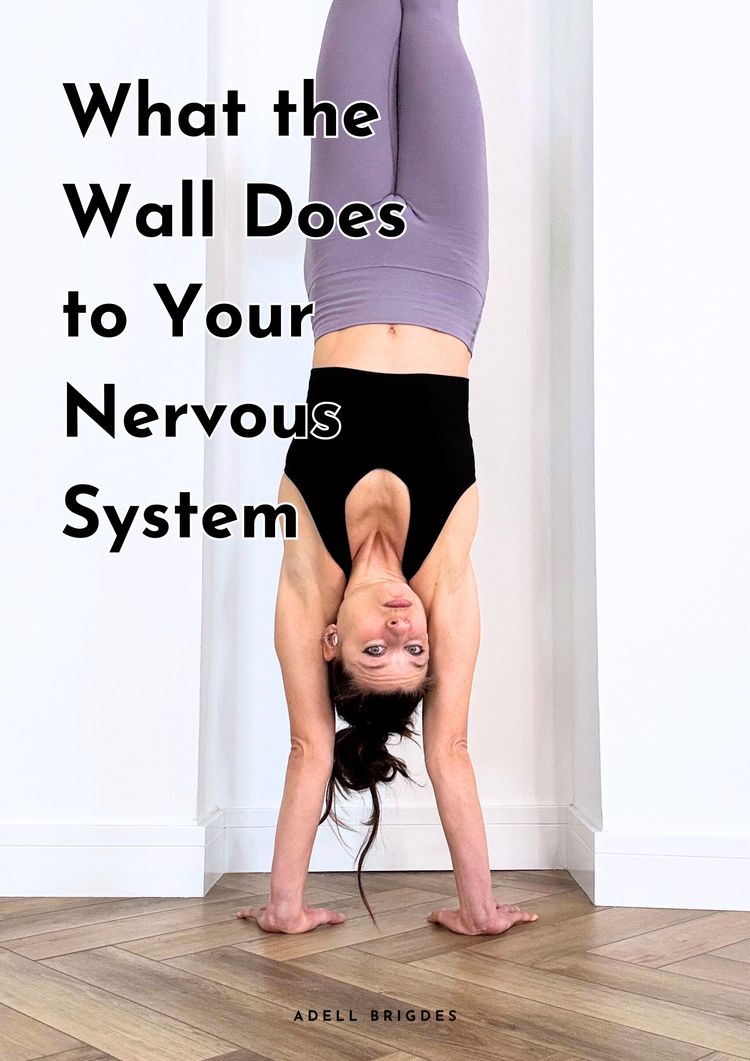 What the Wall Does to Your Nervous System