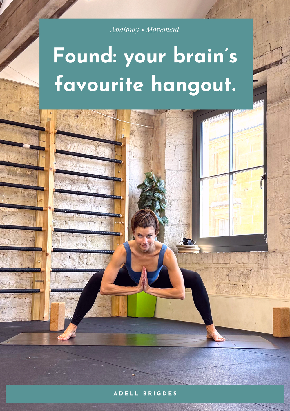 Found: your brain’s favourite hangout