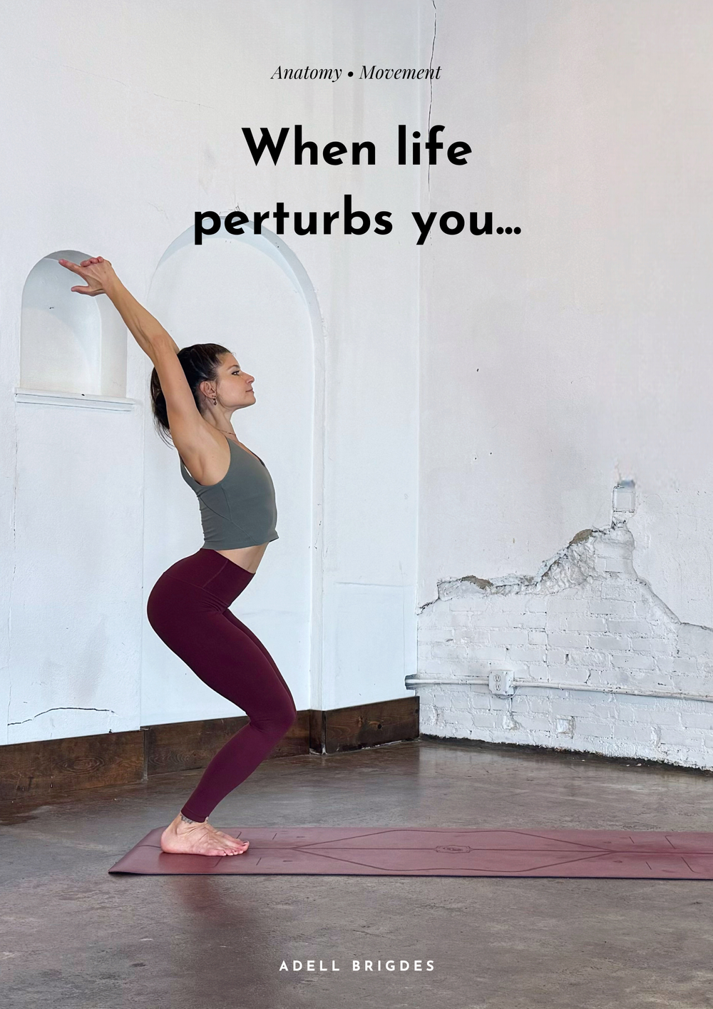 When life perturbs you…