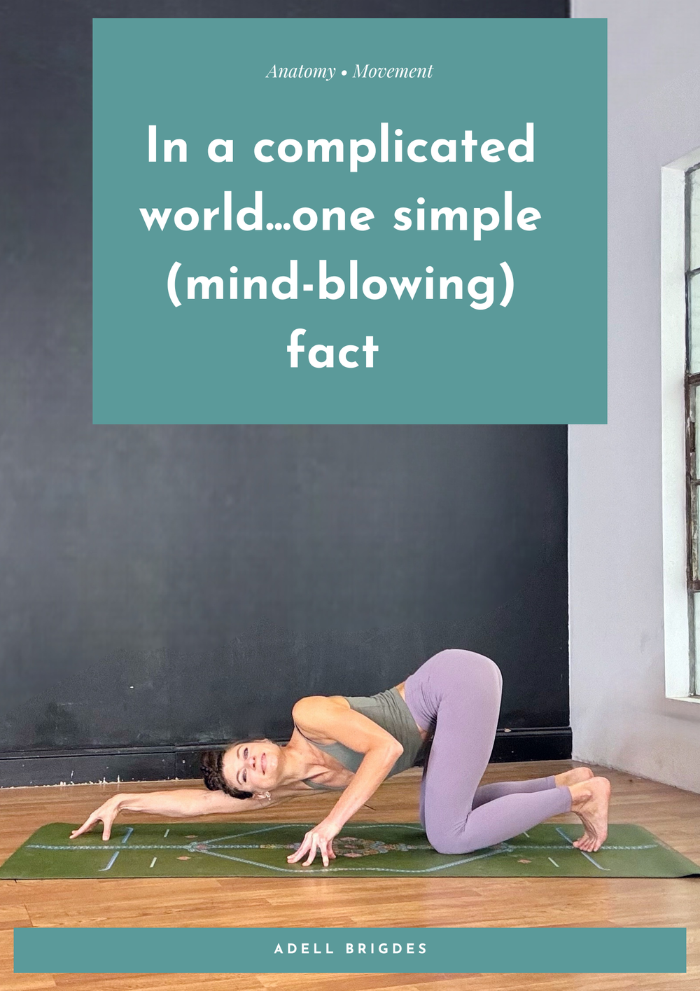 In a complicated world...one simple (mind-blowing) fact