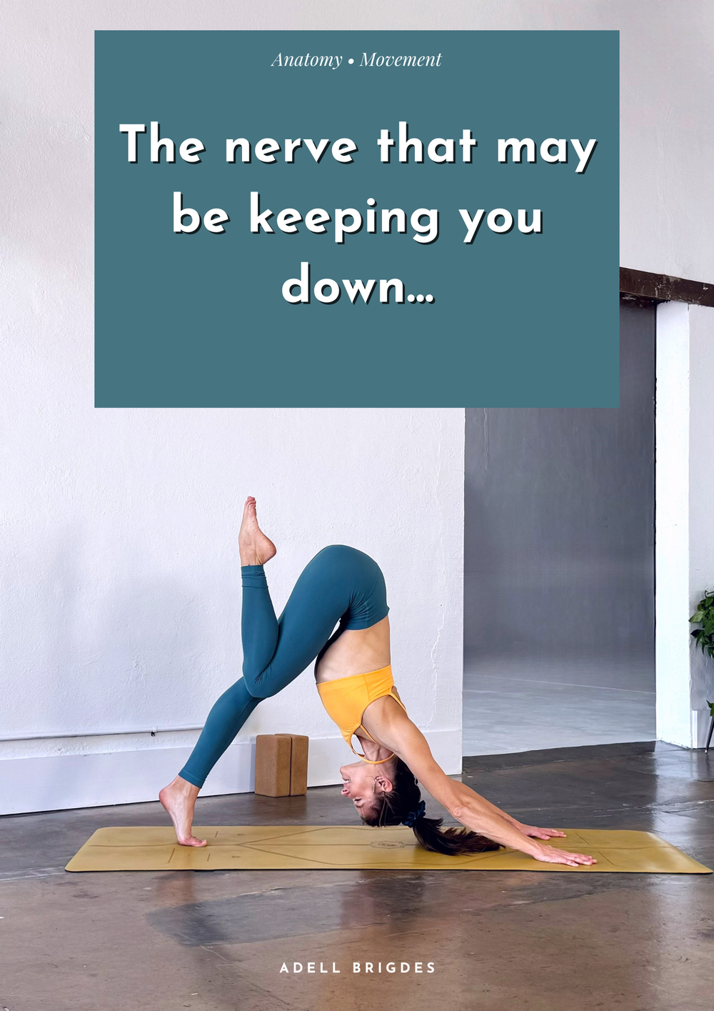 The nerve that may be keeping you down…