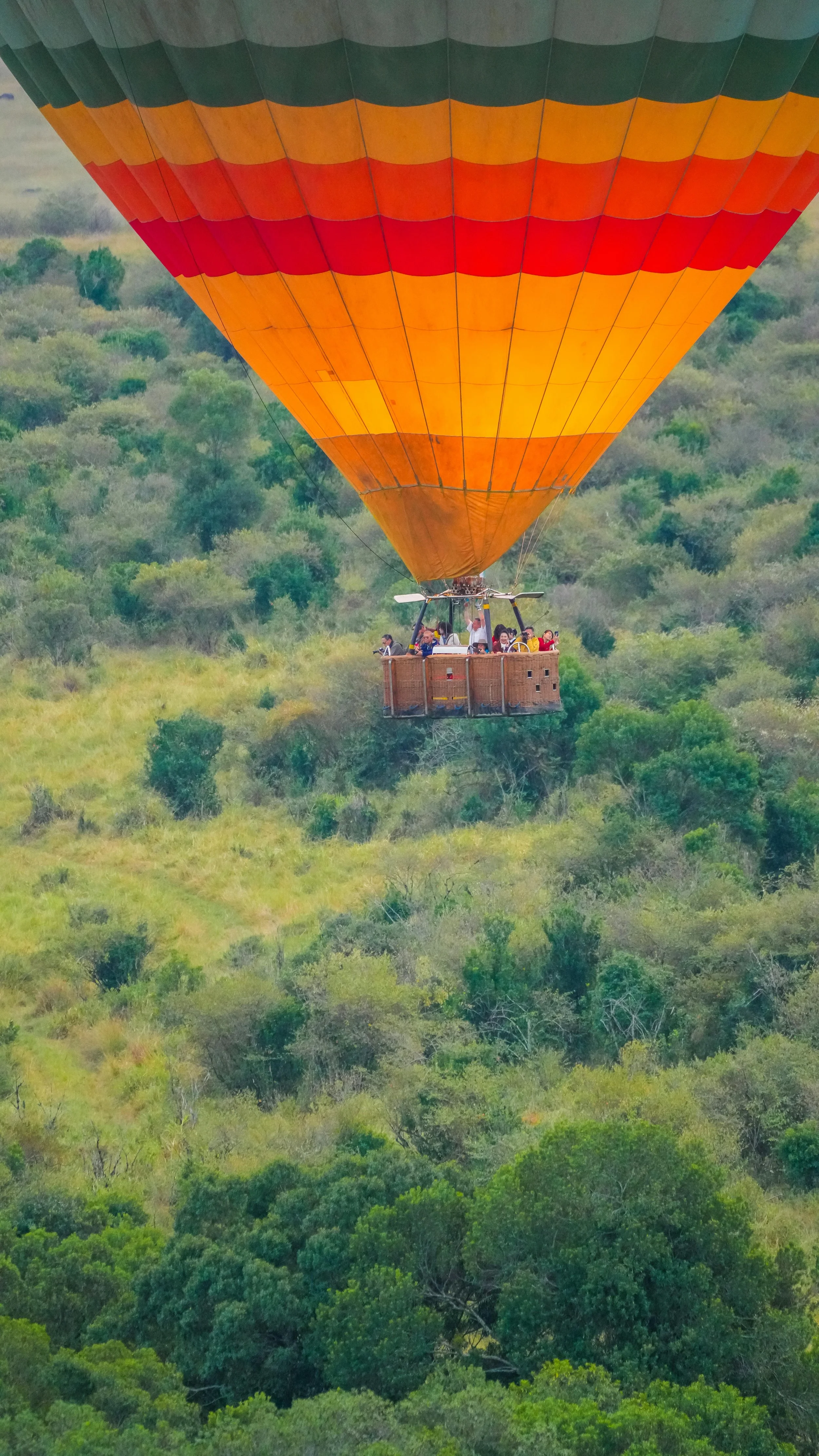 A hot air balloon with an orange, red, and green basket flying above a green, forested landscape.