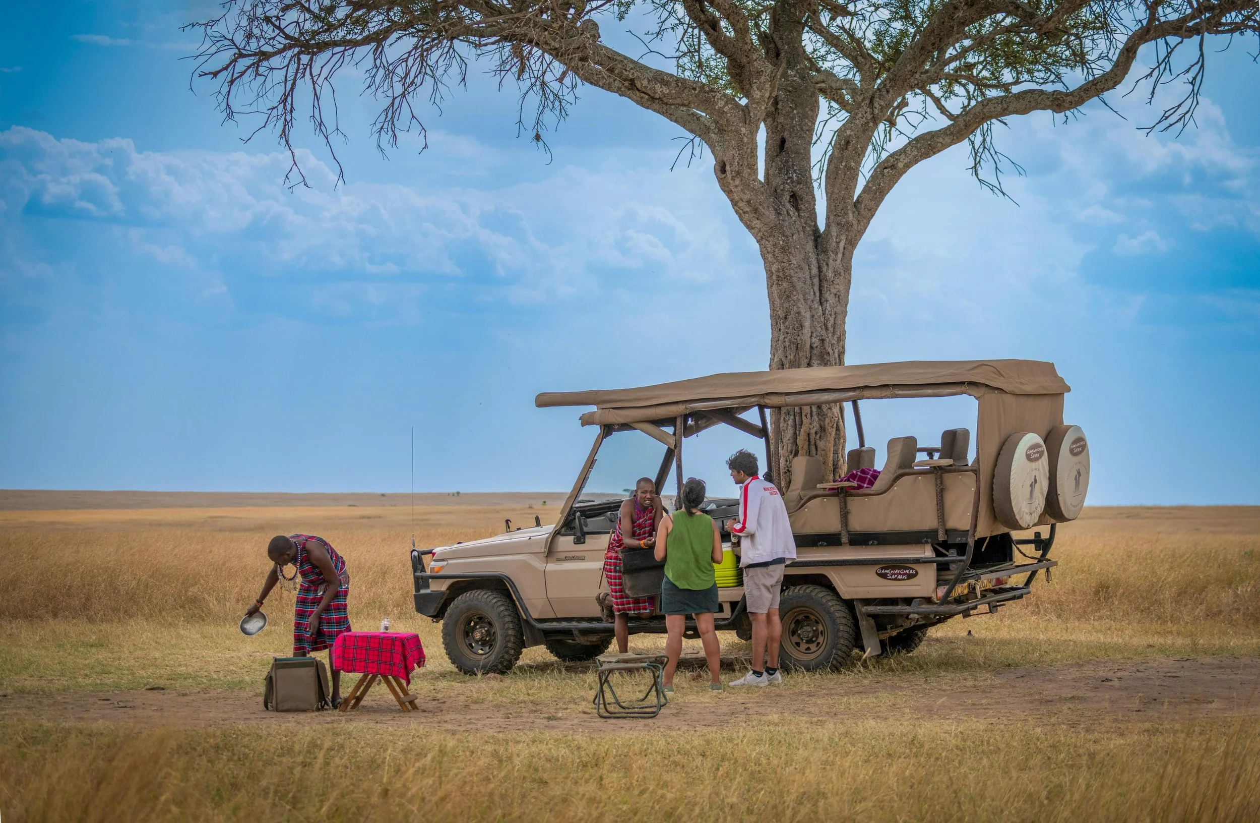 A safari scene in an open grassland with a large tree, a safari vehicle, and four people. Two are standing by the vehicle talking, one is preparing food on a small foldable table with a red checkered cloth, and another person is nearby with a bag. The sky is partly cloudy.