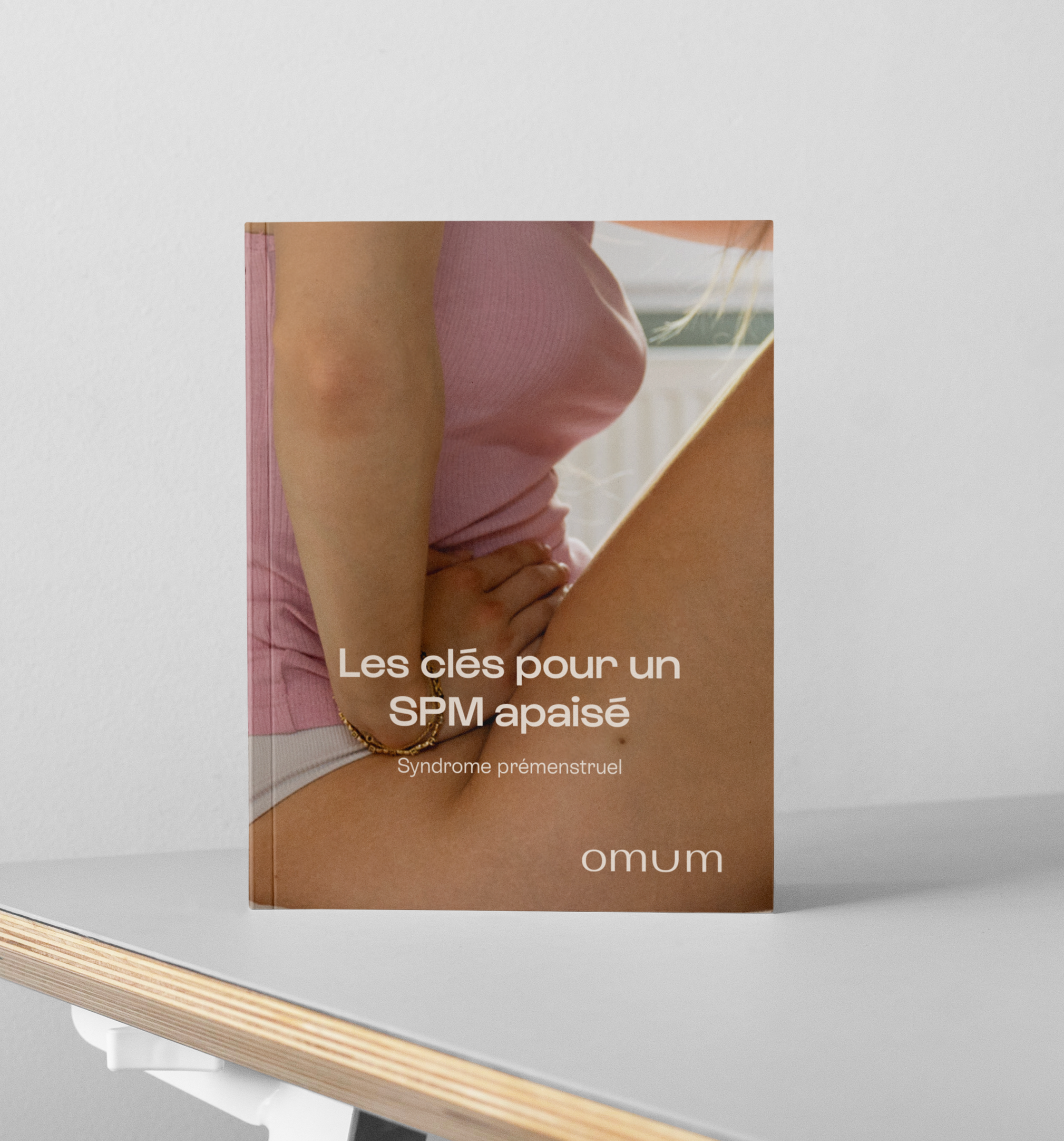 Création ebook offre abonnement graphique