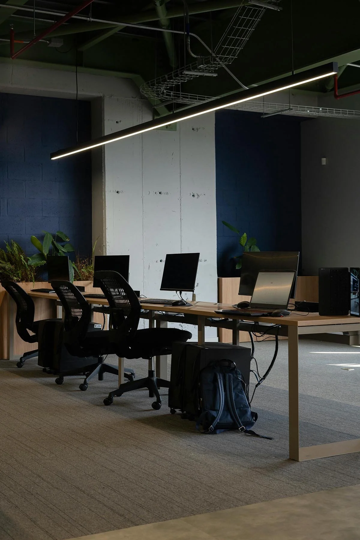 An empty modern office with a row of black office chairs and desks, computers, laptops, and plants, featuring an industrial ceiling with exposed pipes and a long ceiling light.