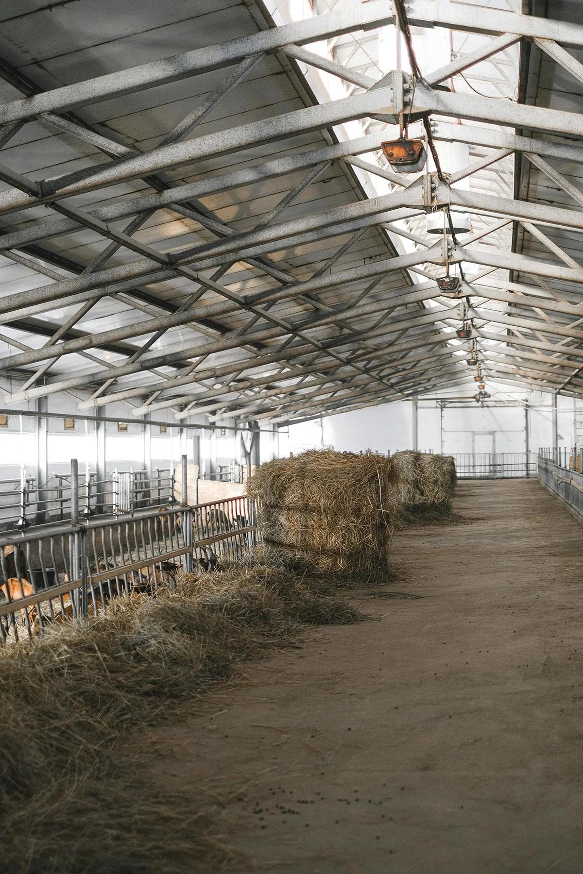 Interior of a modern barn with hay bales and a dirt floor, metal beams, and overhead lighting.