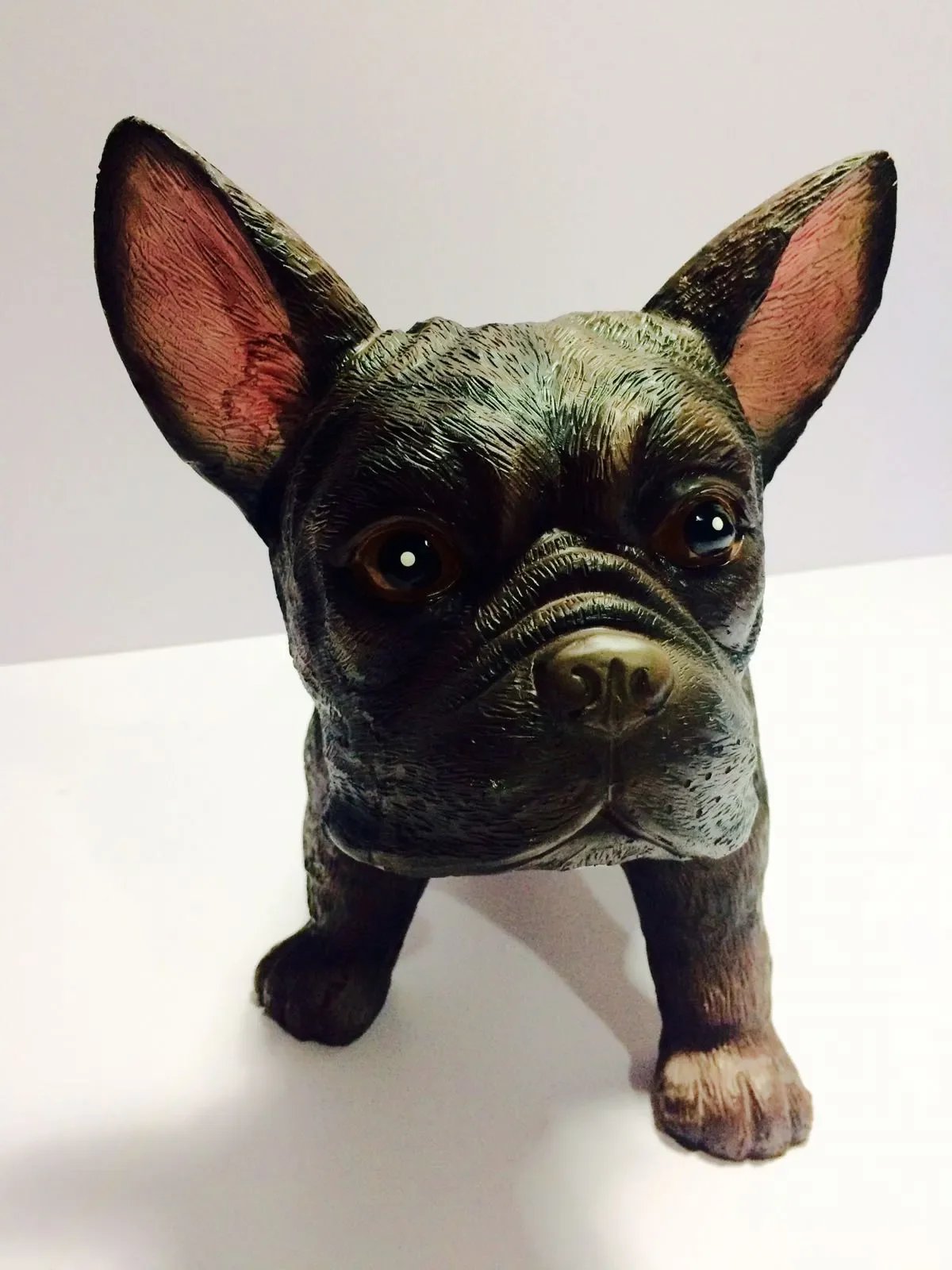 French-Bulldog-2-1.jpeg.webp