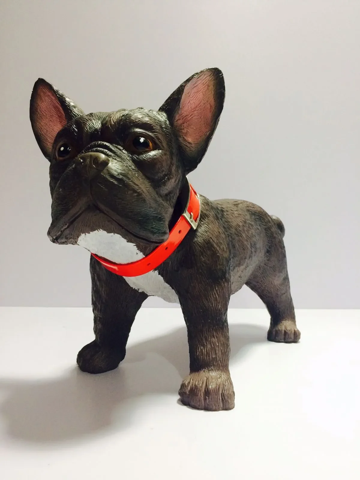 French-Bulldog-1-1.jpeg.webp