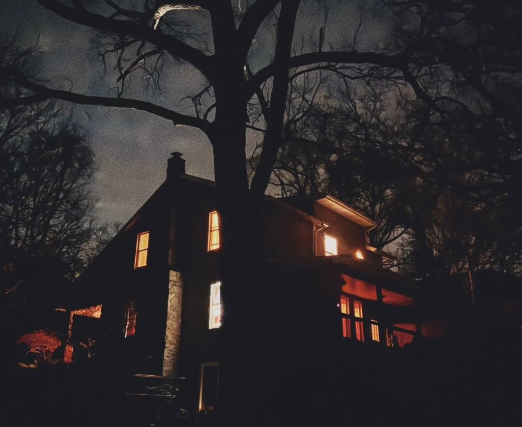 From Local Shoots to Film Sets: Building a Cinematic Foundation