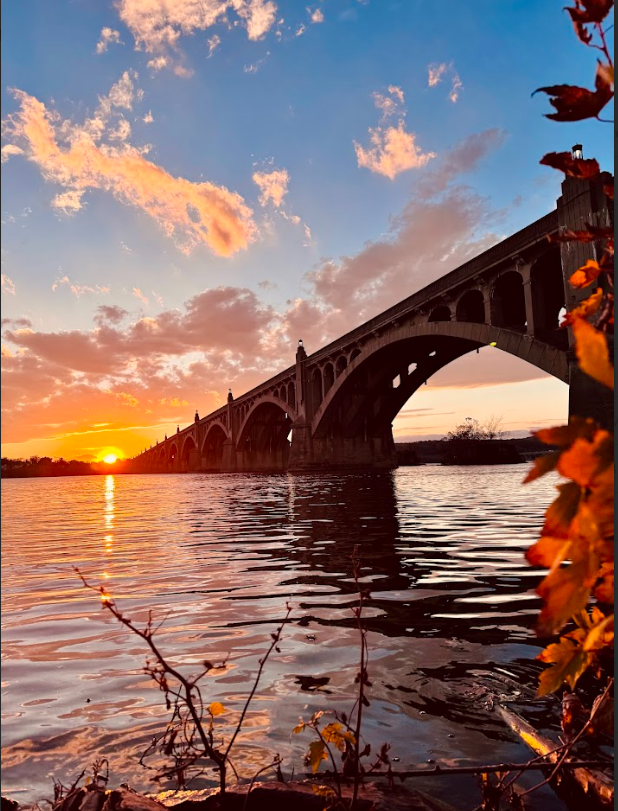 Screenshot 2026-02-04 012806.png