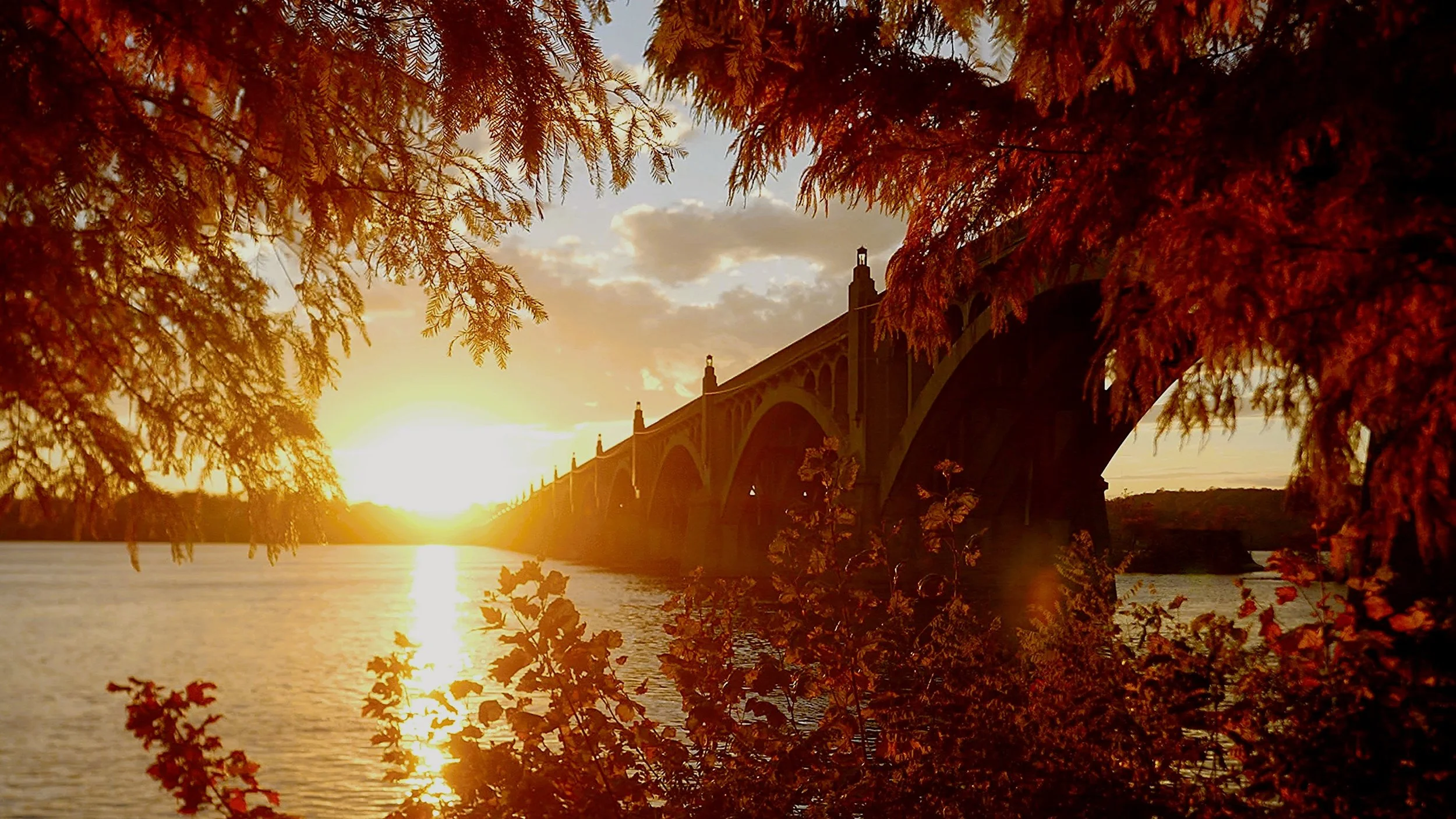 Sunset over a river with a bridge and autumn foliage in the foreground.
