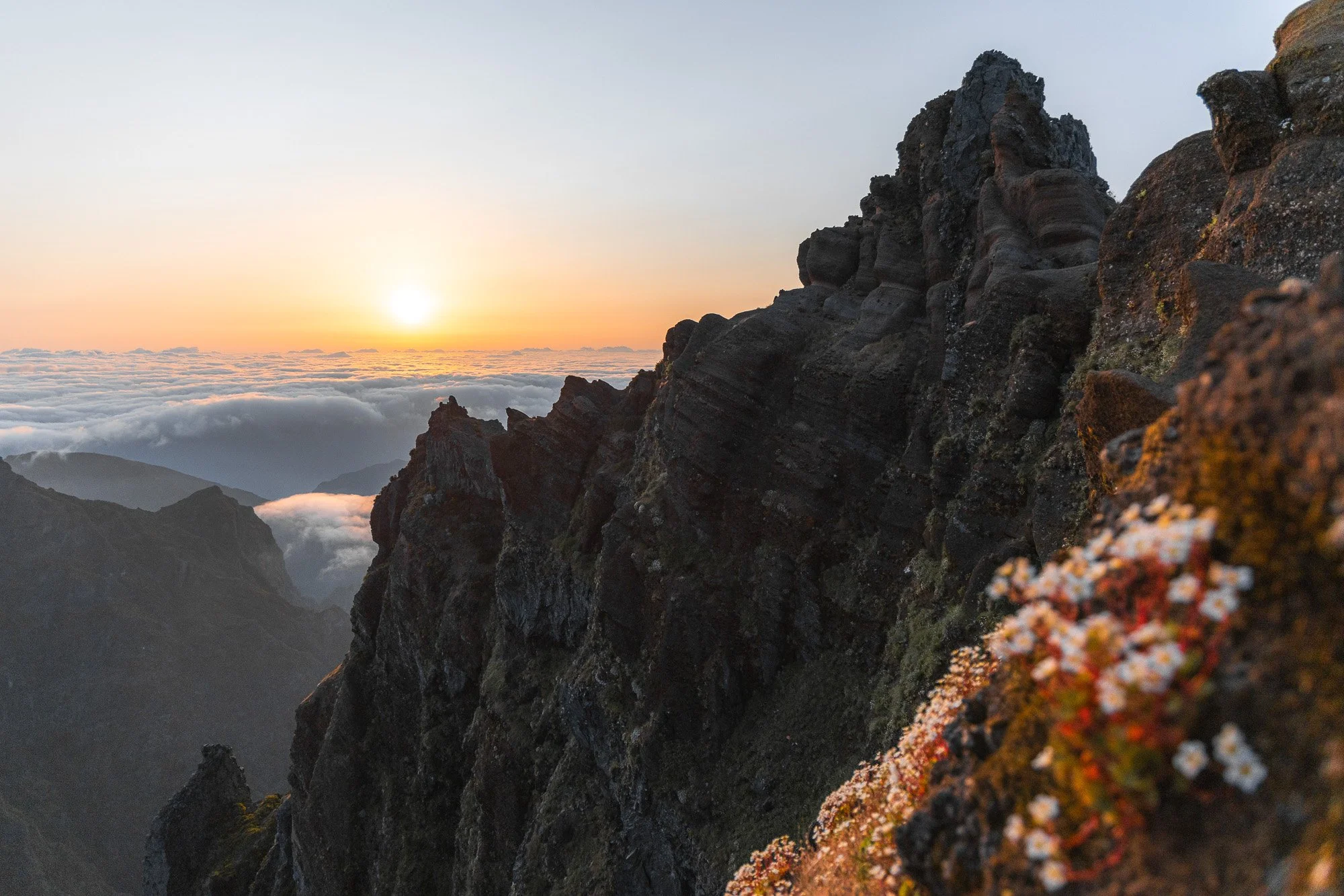 Blick auf eine bergige Felsformation während eines Sonnenaufgangs, mit Wolken im Hintergrund und einigen Blumen im Vordergrund.