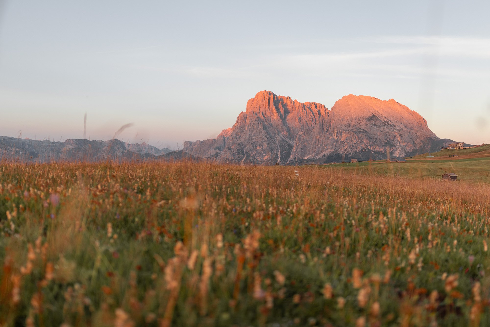 Berg im Sonnenuntergang über einer Wiese mit Blumen. Es ist ein klarer Himmel.