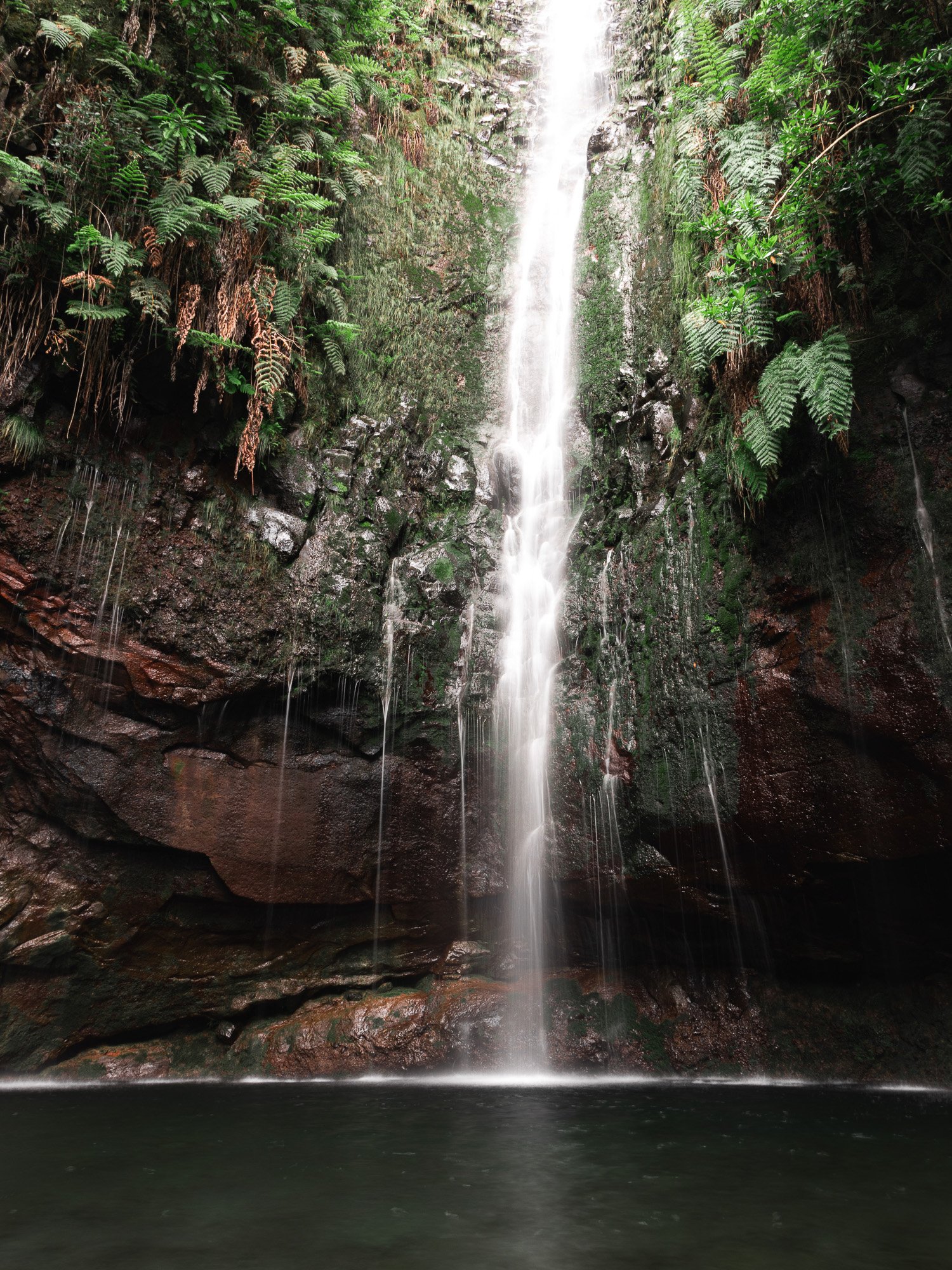 Ein Wasserfall in einem grünen, botanischen Umfeld, mit Wasser, das in einen Teich fällt.